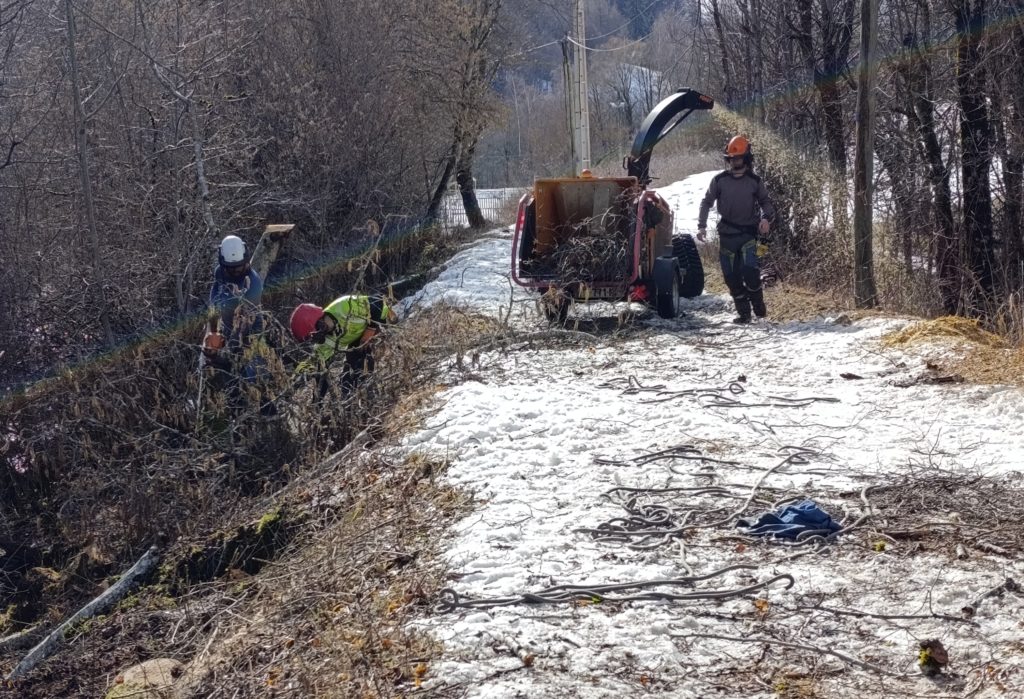 Travaux de défrichement des digues de Pont du Fossé